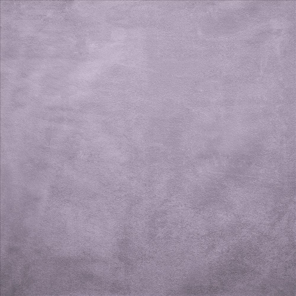 Retrospective Lilac by Kasmir Fabric 5169 100% Polyester
 CHINA 60,000 Wyzenbeek Double Rubs </p><p>Repeat: Horizontal: N/A and Vertical: N/A 58 - Fabric Carolina -
