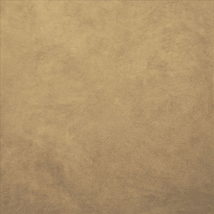 Retrospective Mica by Kasmir Fabric 5169 100% Polyester
 CHINA </p><p>Repeat: Horizontal: N/A and Vertical: N/A 58 - Fabric Carolina -