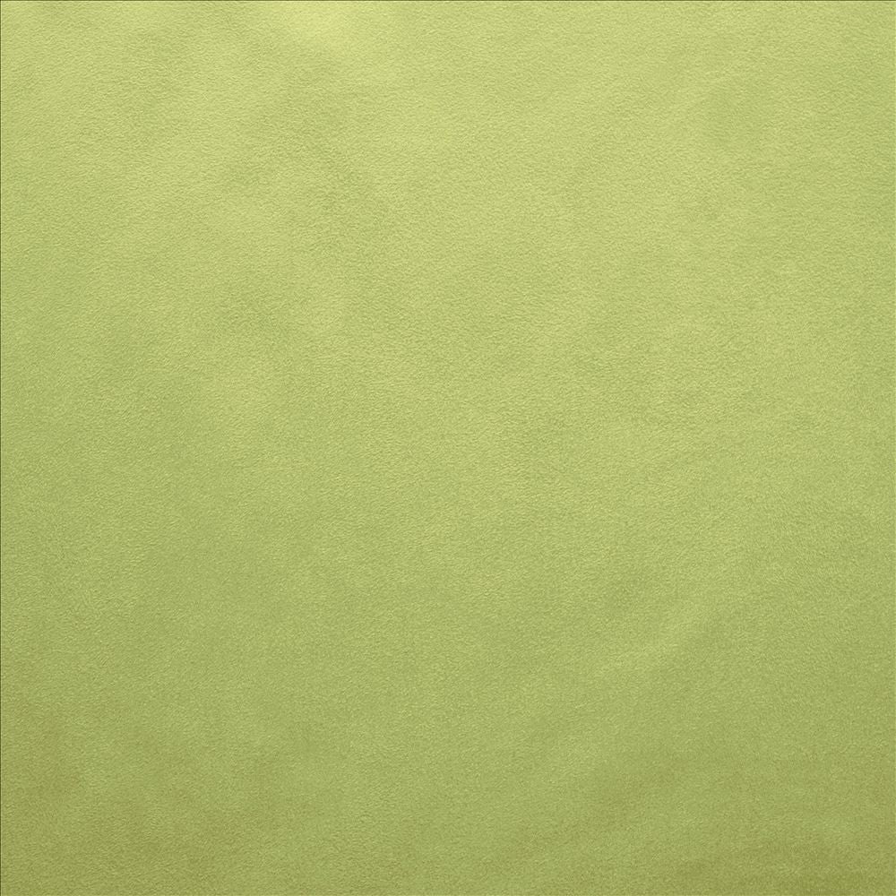 Retrospective Moss by Kasmir Fabric 5169 100% Polyester
 CHINA 60,000 Wyzenbeek Double Rubs </p><p>Repeat: Horizontal: N/A and Vertical: N/A 58 - Fabric Carolina -