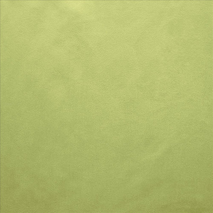 Retrospective Moss by Kasmir Fabric 5169 100% Polyester
 CHINA 60,000 Wyzenbeek Double Rubs </p><p>Repeat: Horizontal: N/A and Vertical: N/A 58 - Fabric Carolina -