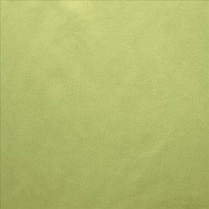 Retrospective Moss by Kasmir Fabric