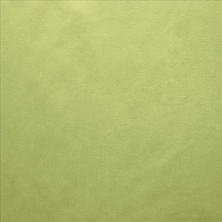 Retrospective Moss by Kasmir Fabric 5169 100% Polyester
 CHINA </p><p>Repeat: Horizontal: N/A and Vertical: N/A 58 - Fabric Carolina -