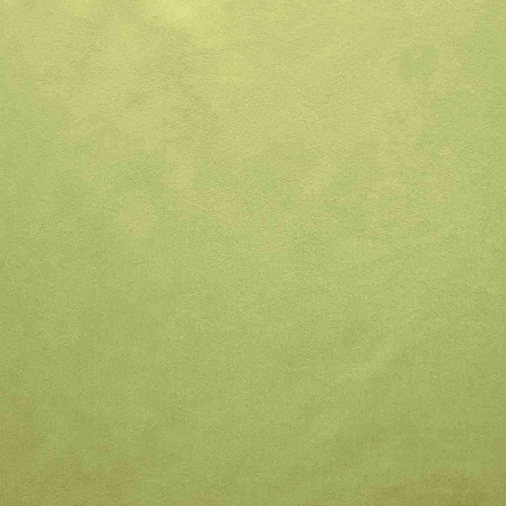 Retrospective Moss by Kasmir Fabric 5169 100% Polyester
 CHINA </p><p>Repeat: Horizontal: N/A and Vertical: N/A 58 - Fabric Carolina -