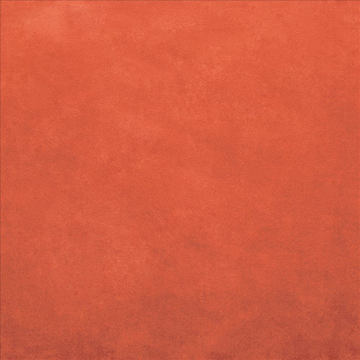 Retrospective Orange by Kasmir Fabric 5169 100% Polyester
 CHINA 60,000 Wyzenbeek Double Rubs Horizontal: N/A and Vertical: N/A 58 - Fabric Carolina -