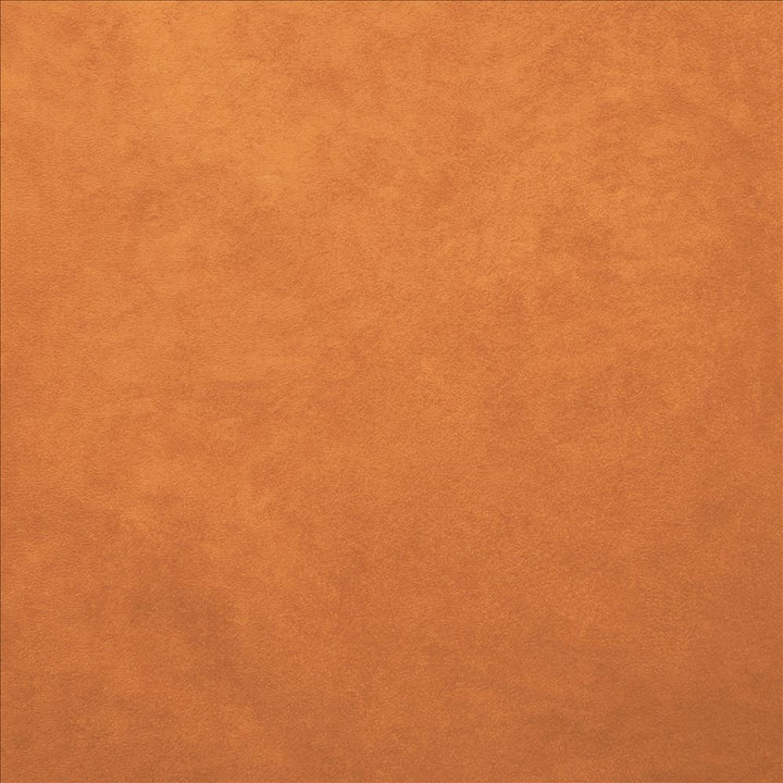 Retrospective Papaya by Kasmir Fabric 5169 100% Polyester
 CHINA 60,000 Wyzenbeek Double Rubs Horizontal: N/A and Vertical: N/A 58 - Fabric Carolina -