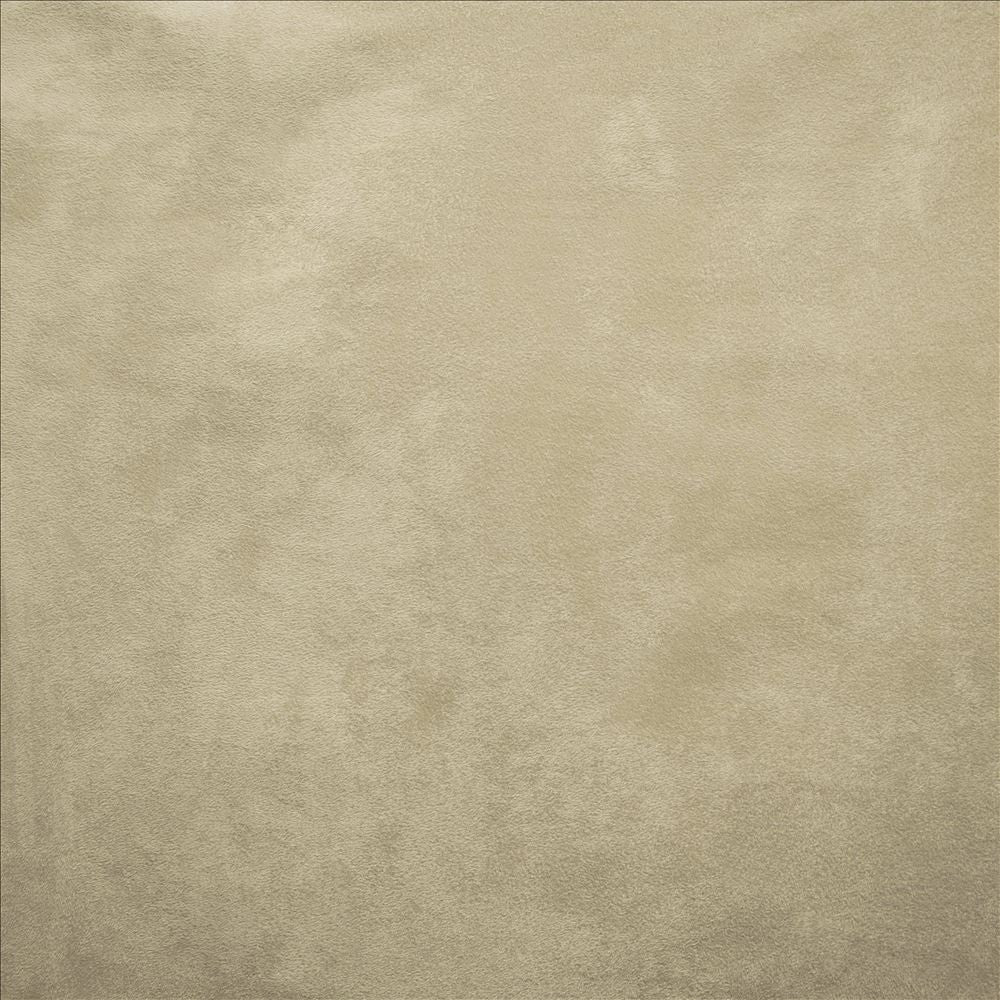 Retrospective Platinum by Kasmir Fabric 5169 100% Polyester
 CHINA 60,000 Wyzenbeek Double Rubs </p><p>Repeat: Horizontal: N/A and Vertical: N/A 58 - Fabric Carolina -