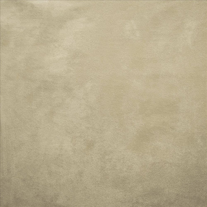 Retrospective Platinum by Kasmir Fabric 5169 100% Polyester
 CHINA 60,000 Wyzenbeek Double Rubs </p><p>Repeat: Horizontal: N/A and Vertical: N/A 58 - Fabric Carolina -