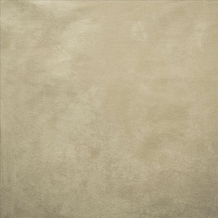 Retrospective Platinum  by Kasmir Fabric See sample 100% Polyester
 CHINA 60,000 Wyzenbeek Double Rubs </p><p>Repeat: Horizontal: N/A and Vertical: N/A 58  - Fabric Carolina -