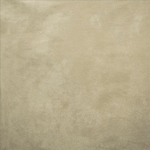 Retrospective Platinum by Kasmir Fabric