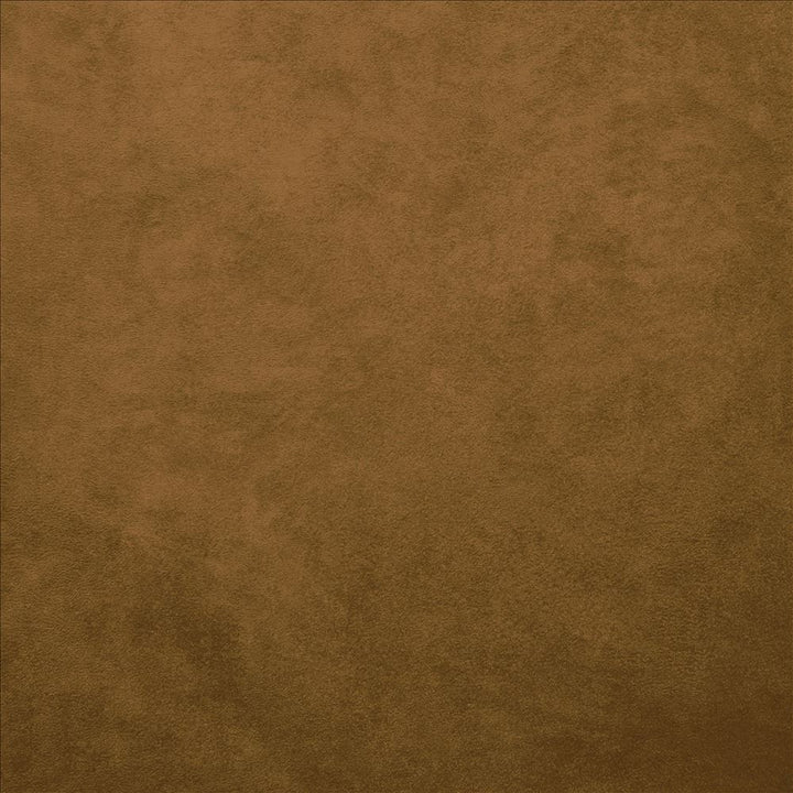 Retrospective Rust by Kasmir Fabric 5169 100% Polyester
 CHINA 60,000 Wyzenbeek Double Rubs </p><p>Repeat: Horizontal: N/A and Vertical: N/A 58 - Fabric Carolina -