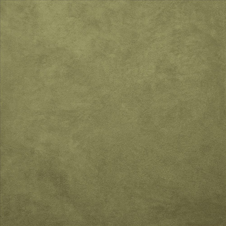 Retrospective Sage by Kasmir Fabric 5169 100% Polyester
 CHINA </p><p>Repeat: Horizontal: N/A and Vertical: N/A 58 - Fabric Carolina -