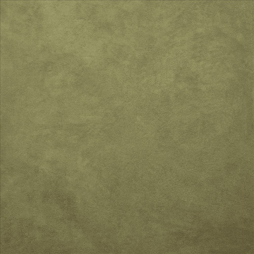 Retrospective Sage by Kasmir Fabric 5169 100% Polyester
 CHINA 60,000 Wyzenbeek Double Rubs </p><p>Repeat: Horizontal: N/A and Vertical: N/A 58 - Fabric Carolina -