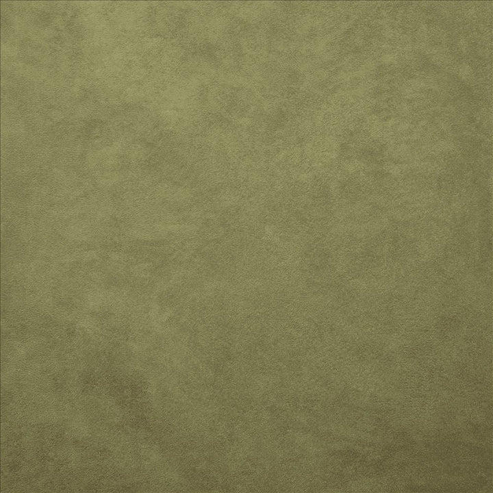 Retrospective Sage by Kasmir Fabric 5169 100% Polyester
 CHINA 60,000 Wyzenbeek Double Rubs </p><p>Repeat: Horizontal: N/A and Vertical: N/A 58 - Fabric Carolina -