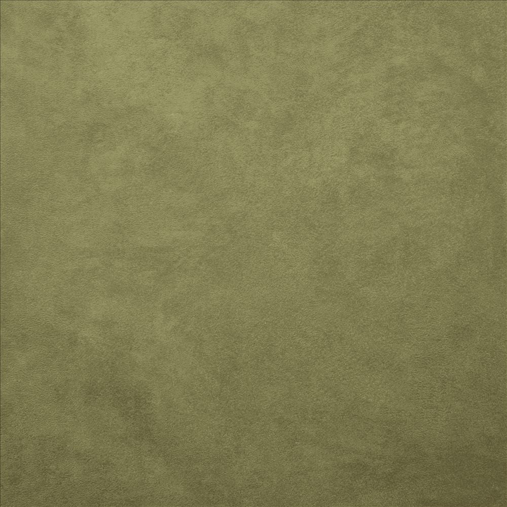 Retrospective Sage by Kasmir Fabric 5169 100% Polyester
 CHINA 60,000 Wyzenbeek Double Rubs Horizontal: N/A and Vertical: N/A 58 - Fabric Carolina -