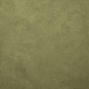 Retrospective Sage by Kasmir Fabric