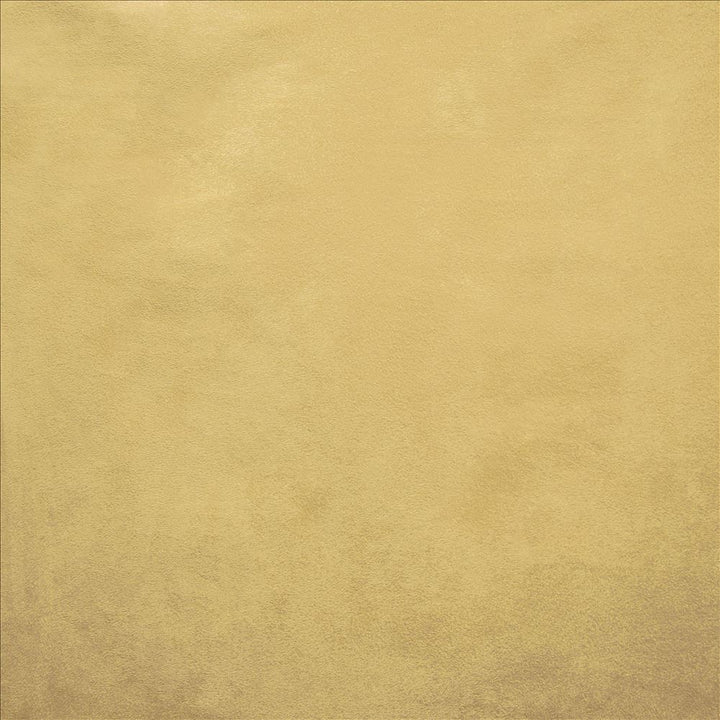 Retrospective Sunshine by Kasmir Fabric 5169 100% Polyester
 CHINA 60,000 Wyzenbeek Double Rubs </p><p>Repeat: Horizontal: N/A and Vertical: N/A 58 - Fabric Carolina -