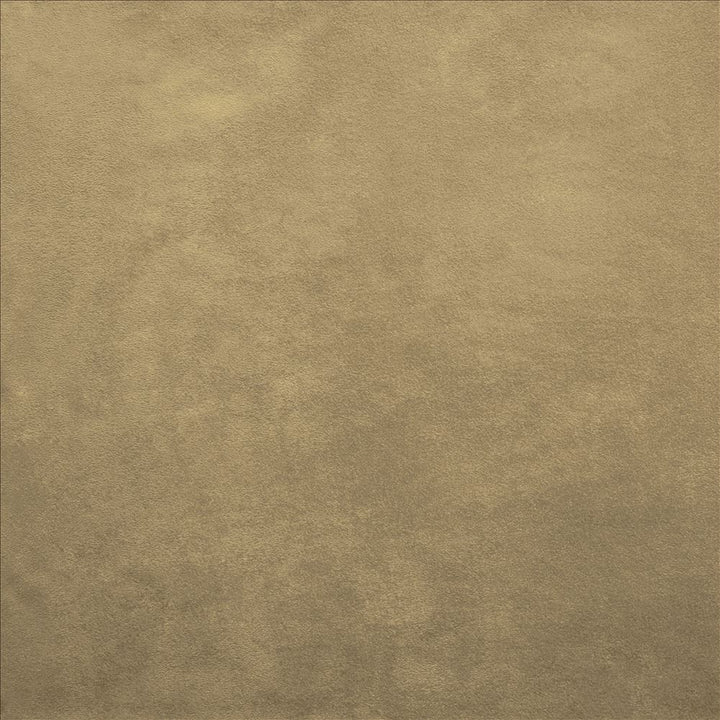 Retrospective Wheat by Kasmir Fabric 5169 100% Polyester
 CHINA </p><p>Repeat: Horizontal: N/A and Vertical: N/A 58 - Fabric Carolina -