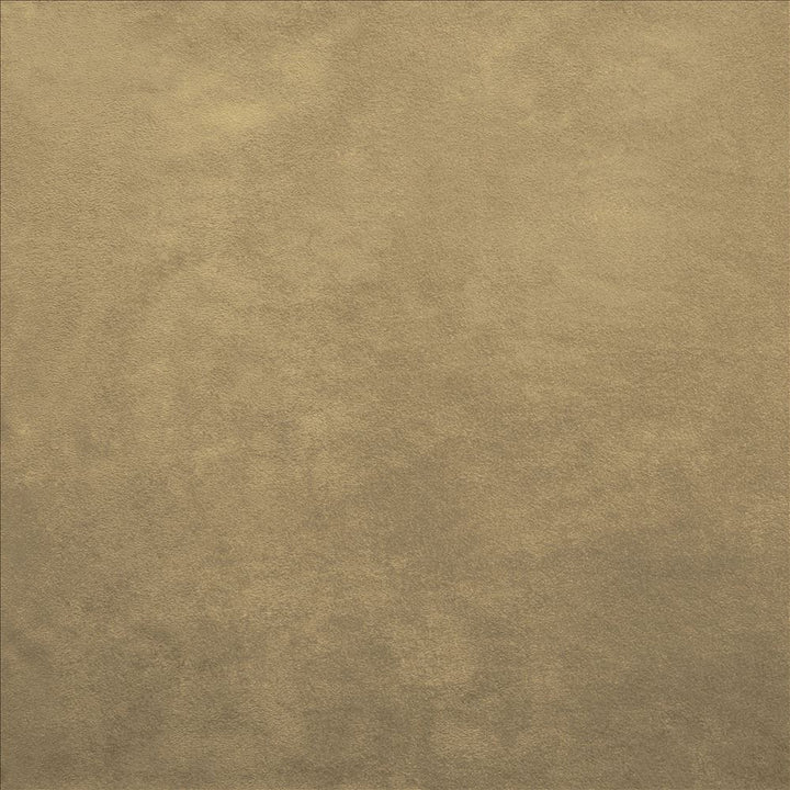 Retrospective Wheat by Kasmir Fabric 5169 100% Polyester
 CHINA 60,000 Wyzenbeek Double Rubs </p><p>Repeat: Horizontal: N/A and Vertical: N/A 58 - Fabric Carolina -