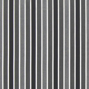 Rhodes Stripe Ebony by Kasmir Fabric