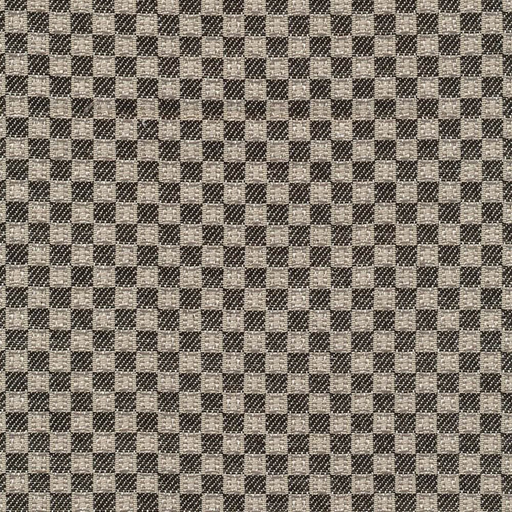 Rhonado Check Steel by Kasmir Fabric 1396 66% Polyester 34% Rayon CHINA 12,000 Wyzenbeek Double Rubs Horizontal: 4/8 inches and Vertical: 4/8 inches 54 - 56 - Fabric Carolina -