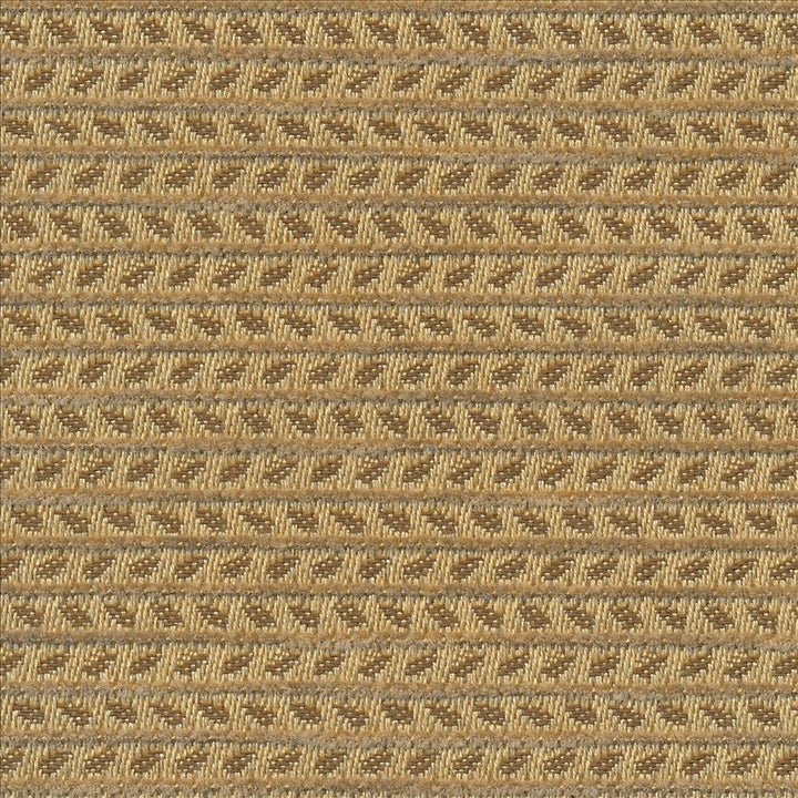 Rice Paddy Io Bronze  by Kasmir Fabric See sample 100% Acrylic
 USA 12,000 Wyzenbeek Double Rubs </p><p>Repeat: Horizontal: 2/8 inches and Vertical: 3 inches 54  - Fabric Carolina -
