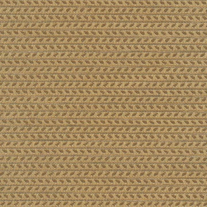 Rice Paddy Io Bronze by Kasmir Fabric 1413 USA 12,000 Wyzenbeek Double Rubs H: 2/8 inches, V:3 inches 54 - Fabric Carolina - Kasmir