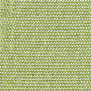 Rice Paddy Io Filigree by Kasmir Fabric 1413 100% Acrylic USA 12,000 Wyzenbeek Double Rubs H: 2/8 inches, V: 3 inches 54 - Fabric Carolina - Kasmir