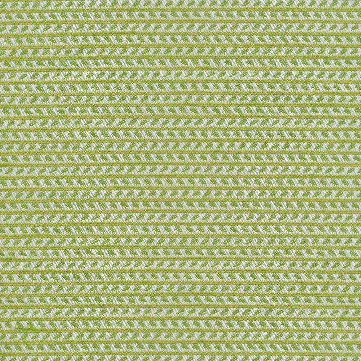 Rice Paddy Io Filigree by Kasmir Fabric 1413 USA 12,000 Wyzenbeek Double Rubs H: 2/8 inches, V:3 inches 54 - Fabric Carolina - Kasmir