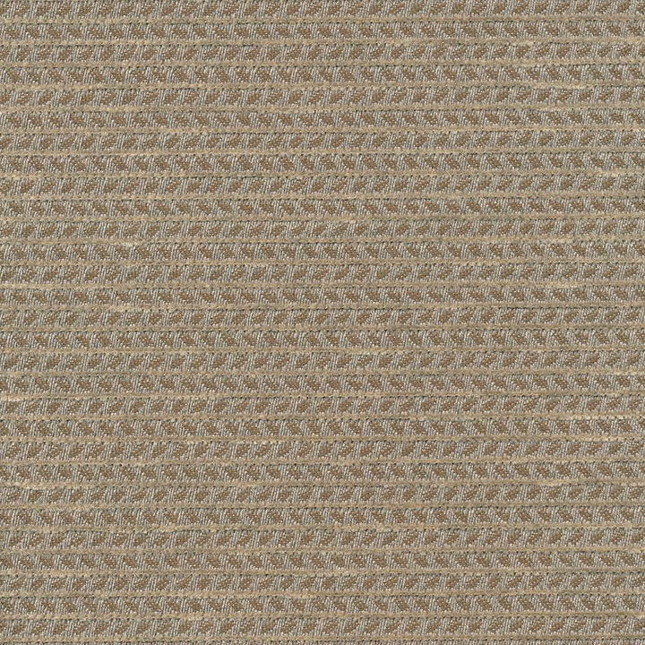 Rice Paddy Io Flatrock by Kasmir Fabric 1413 USA 12,000 Wyzenbeek Double Rubs H: 2/8 inches, V:3 inches 54 - Fabric Carolina - Kasmir