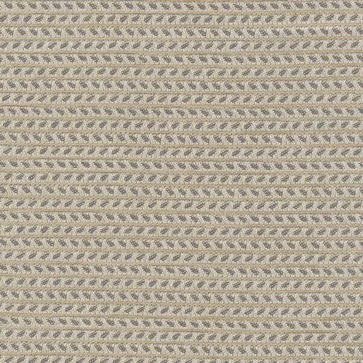 Rice Paddy Io Silver by Kasmir Fabric 1413 USA 12,000 Wyzenbeek Double Rubs H: 2/8 inches, V:3 inches 54 - Fabric Carolina - Kasmir