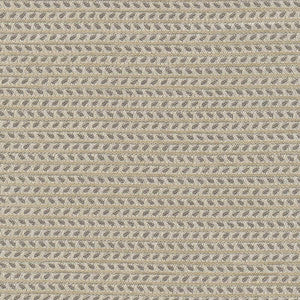 Rice Paddy Io Silver by Kasmir Fabric