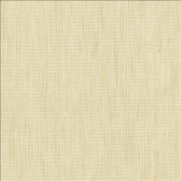 Riddler Fawn by Kasmir Fabric 5122 100% Polyester INDIA 51,000 Wyzenbeek Double Rubs H: 3/8 inches, V: 3/8 inches 54 - Fabric Carolina - Kasmir