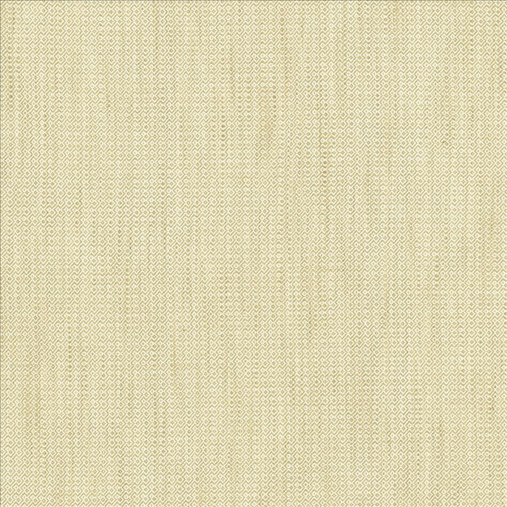 Riddler Fawn by Kasmir Fabric 5122 100% Polyester
 INDIA </p><p>Repeat: Horizontal: 3/8 inches and Vertical: 3/8 inches 54 - Fabric Carolina -