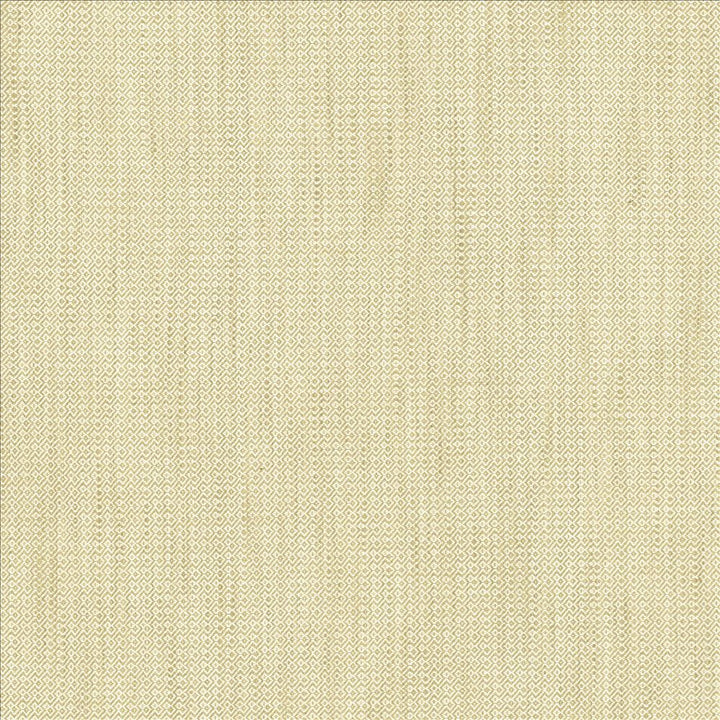Riddler Fawn by Kasmir Fabric 5122 100% Polyester
 INDIA 51,000 Wyzenbeek Double Rubs Horizontal: 3/8 inches and Vertical: 3/8 inches 54 - Fabric Carolina -