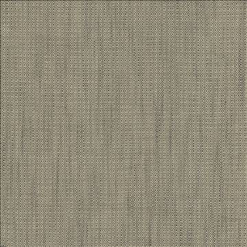 Riddler Granite by Kasmir Fabric 5123 100% Polyester INDIA 51,000 Wyzenbeek Double Rubs H: 3/8 inches, V: 3/8 inches 54 - Fabric Carolina - Kasmir