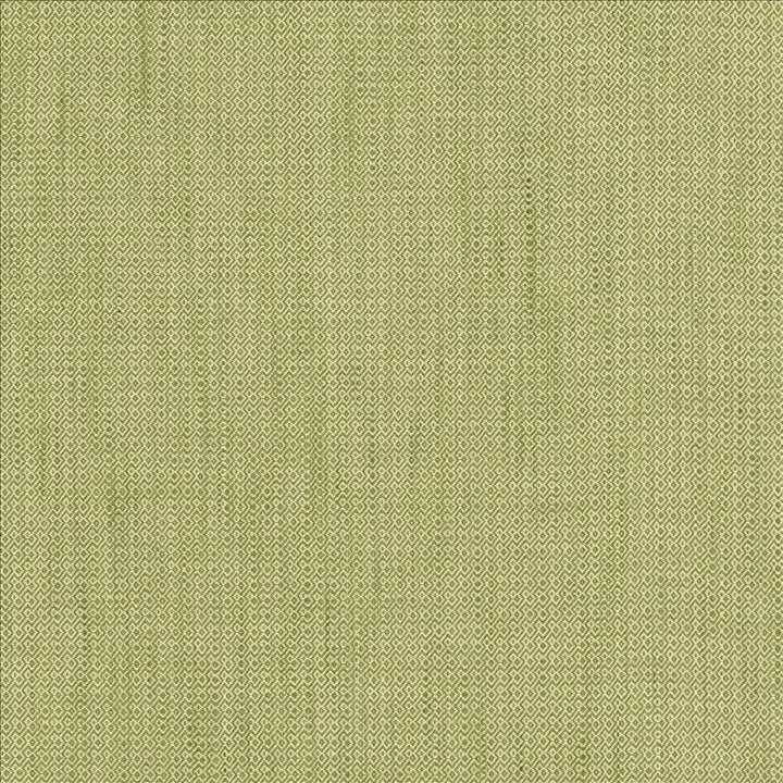 Riddler Sprout by Kasmir Fabric 5124 100% Polyester
 INDIA </p><p>Repeat: Horizontal: 3/8 inches and Vertical: 3/8 inches 54 - Fabric Carolina -