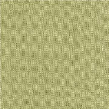 Riddler Sprout by Kasmir Fabric 5124 100% Polyester INDIA 51,000 Wyzenbeek Double Rubs H: 3/8 inches, V: 3/8 inches 54 - Fabric Carolina - Kasmir
