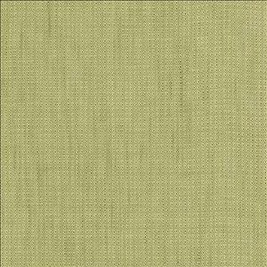 Riddler Sprout by Kasmir Fabric