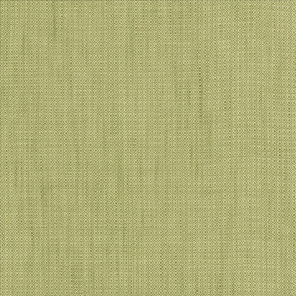 Riddler Sprout by Kasmir Fabric 5124 100% Polyester
 INDIA 51,000 Wyzenbeek Double Rubs Horizontal: 3/8 inches and Vertical: 3/8 inches 54 - Fabric Carolina -