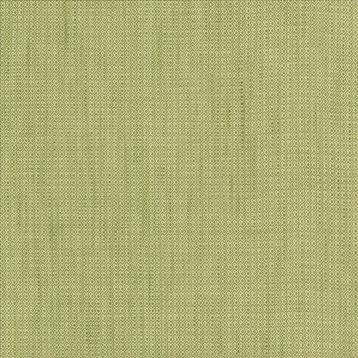 Riddler Sprout by Kasmir Fabric 5124 100% Polyester INDIA 51,000 Wyzenbeek Double Rubs Horizontal: 3/8 inches and Vertical: 3/8 inches 54 - Fabric Carolina -
