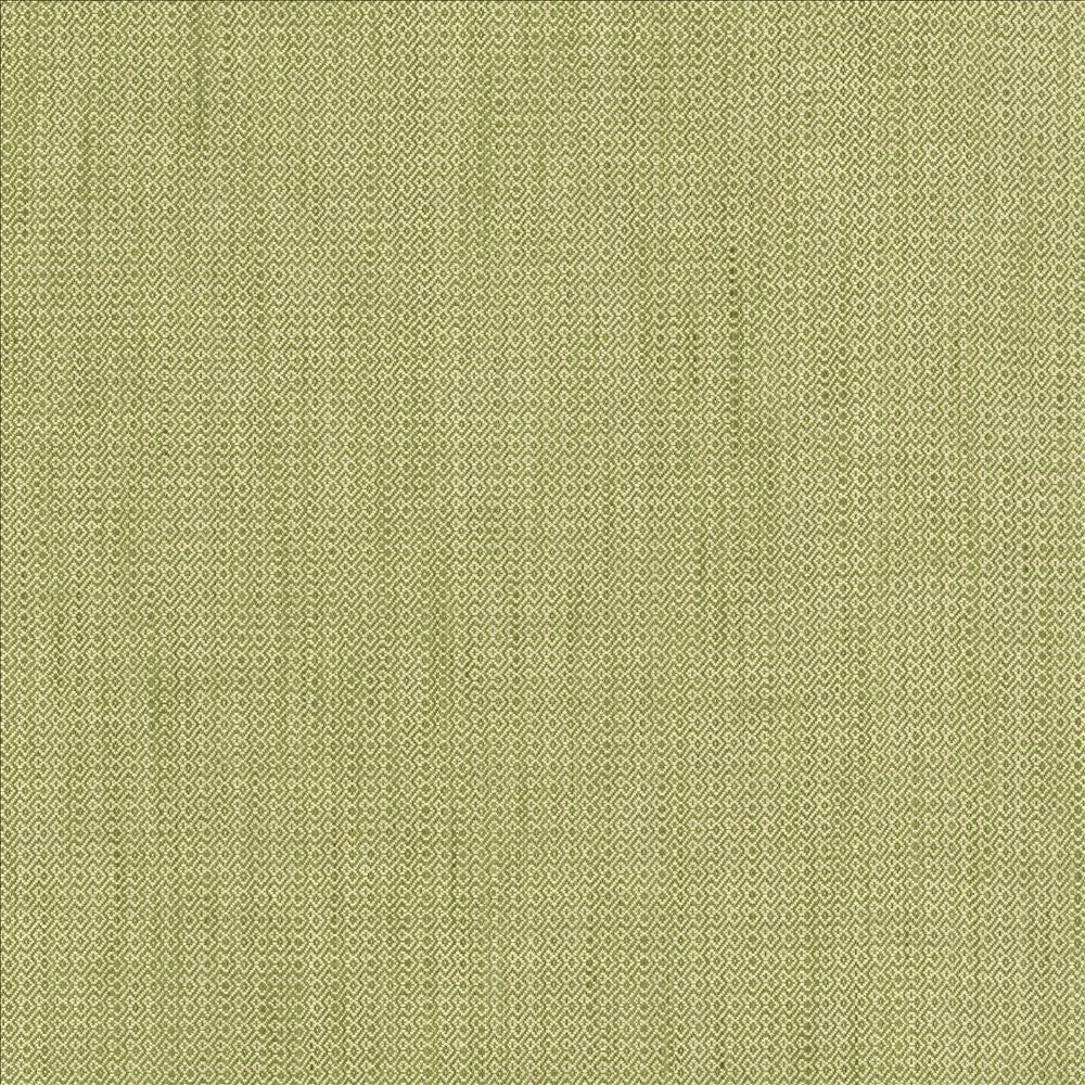 Riddler Sprout by Kasmir Fabric 5124 100% Polyester
 INDIA </p><p>Repeat: Horizontal: 3/8 inches and Vertical: 3/8 inches 54 - Fabric Carolina -