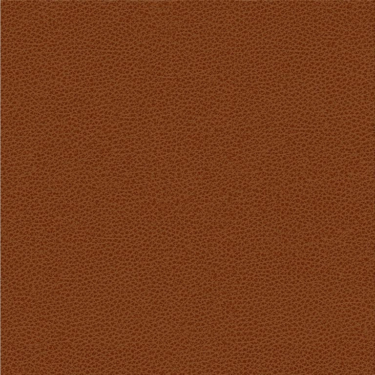 RIGEL.24 by Kravet Smart Designer Fabric our website for purchase 100% Leather Taiwan Heavy Horizontal: see sample and Vertical: see sample 54 inches - Swanky Fabrics -