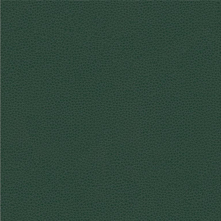 RIGEL.5 by Kravet Smart Designer Fabric in our sample Poly Vinyl Chloride 100% Taiwan Heavy Horizontal: See Sample and Vertical: See Sample 54 inches - Swanky Fabrics -