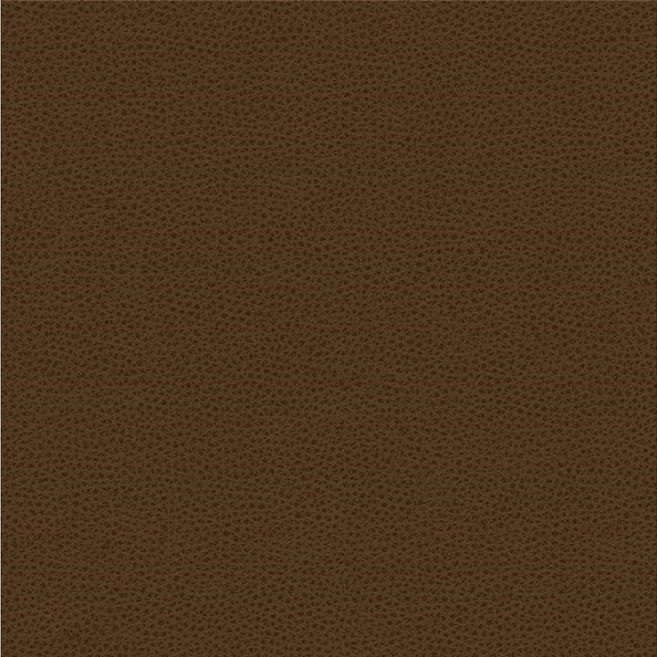 RIGEL.6 by Kravet Smart Designer Fabric in our sample Poly Vinyl Chloride 100% Taiwan Heavy Horizontal: See Sample and Vertical: See Sample 54 inches - Swanky Fabrics -