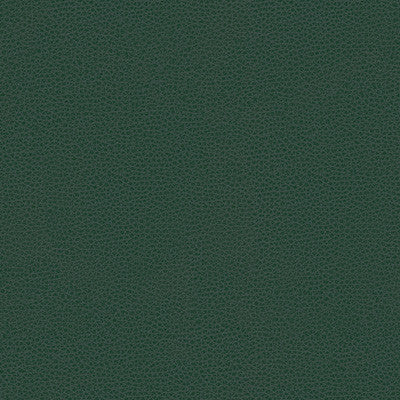 Kravet Smart Rigel-5 by Kravet Design Fabric