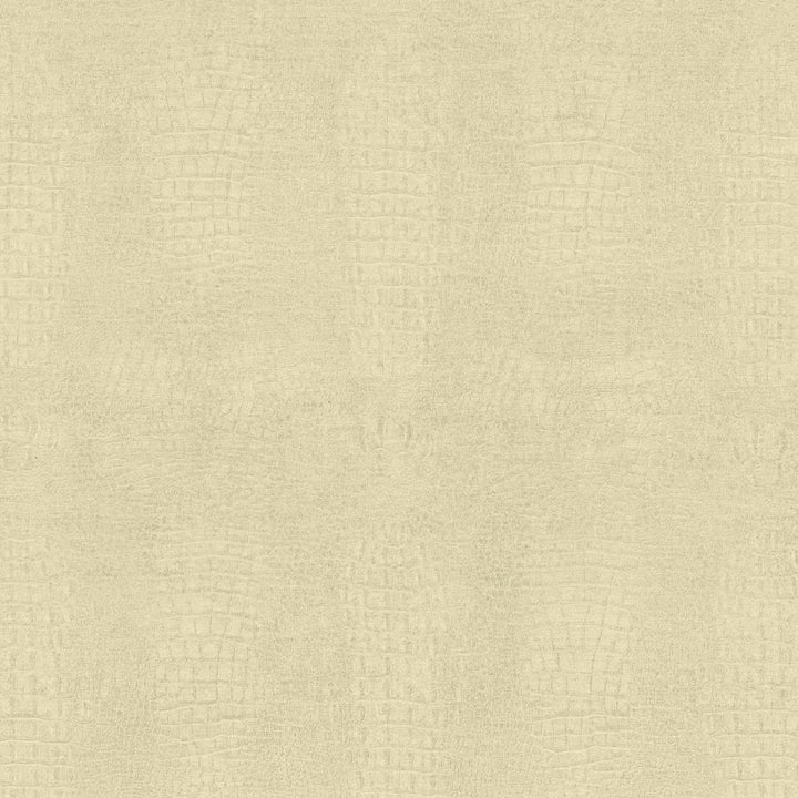 Ritzy Cream by Kasmir Fabric 5134 100% Polyester
 CHINA </p><p>Repeat: Horizontal: 9 4/8 inches and Vertical: 12 inches 55 - Fabric Carolina -