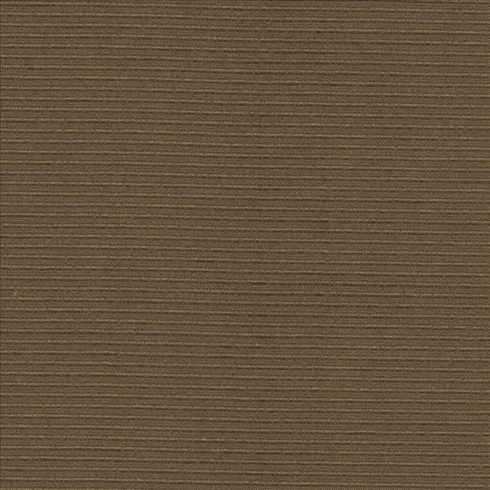 Rivage Cocoa by Kasmir Fabric 5101 54% Polyester
46% Cotton
 TAIWAN 10,000 Wyzenbeek Double Rubs Horizontal: N/A and Vertical: N/A 54 - Fabric Carolina -