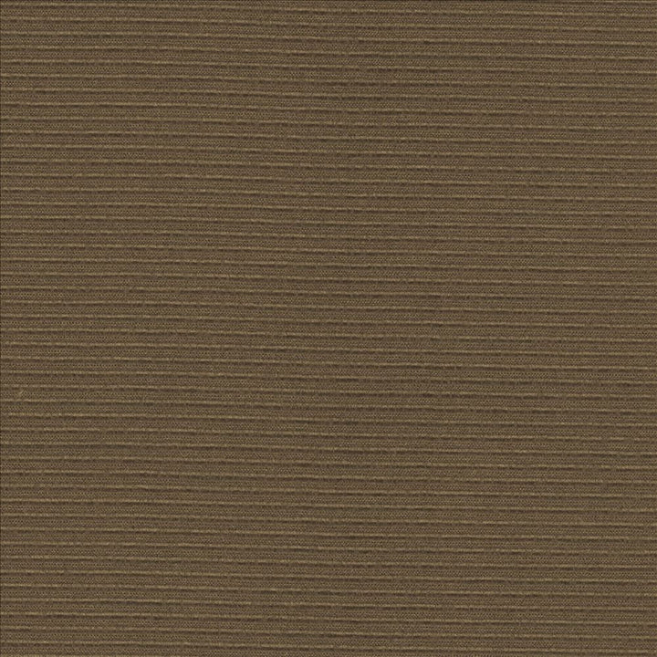 Rivage Cocoa by Kasmir Fabric 5101 54% Polyester 46% Cotton TAIWAN 10,000 Wyzenbeek Double Rubs Horizontal: 0 Inches and Vertical: 0 Inches 54 - 55 - Fabric Carolina -