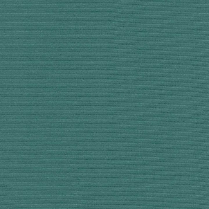Rivage Emerald by Kasmir Fabric 5098 54% Polyester
46% Cotton
 TAIWAN </p><p>Repeat: Horizontal: N/A and Vertical: N/A 54 - 55 - Fabric Carolina -