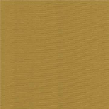 Rivage Gold by Kasmir Fabric 5093 54% Polyester 46% Cotton TAIWAN 10,000 Wyzenbeek Double Rubs H: N/A, V: N/A 54 - 55 - Fabric Carolina - Kasmir